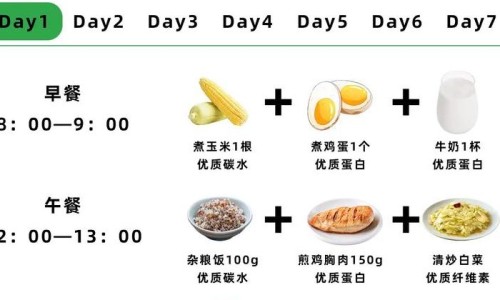 小猫两个月特别怕人网-分享两个月小猫猫粮推荐，小猫两个月特别怕人怎么回事知识库