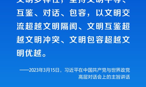 两个月小猫胆子太小怕人不玩-小猫两个月特别怕人网-分享两个月小猫猫粮推荐，小猫两个月特别怕人怎么回事知识库